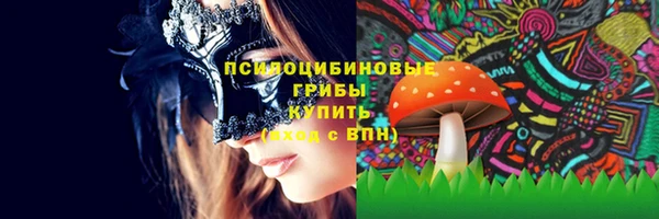 гашик Баксан