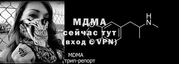 дмт Аркадак