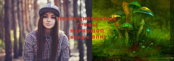 эйфоретик Балахна